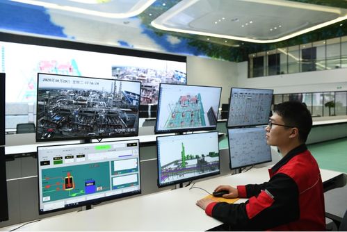 面向數(shù)字化未來(lái)，打造化工百年老店的信息技術(shù)咨詢服務(wù)